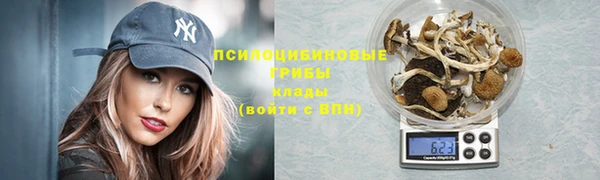 ALPHA PVP Арсеньев