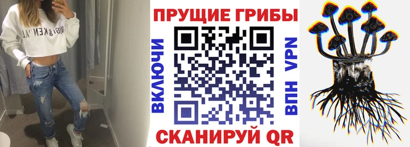 Галлюциногенные грибы GOLDEN TEACHER  закладки  Суворов 